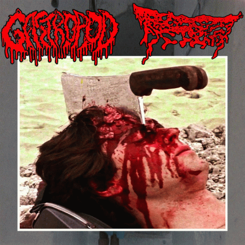 Gastropod : Gastropod - Acrid Infestation